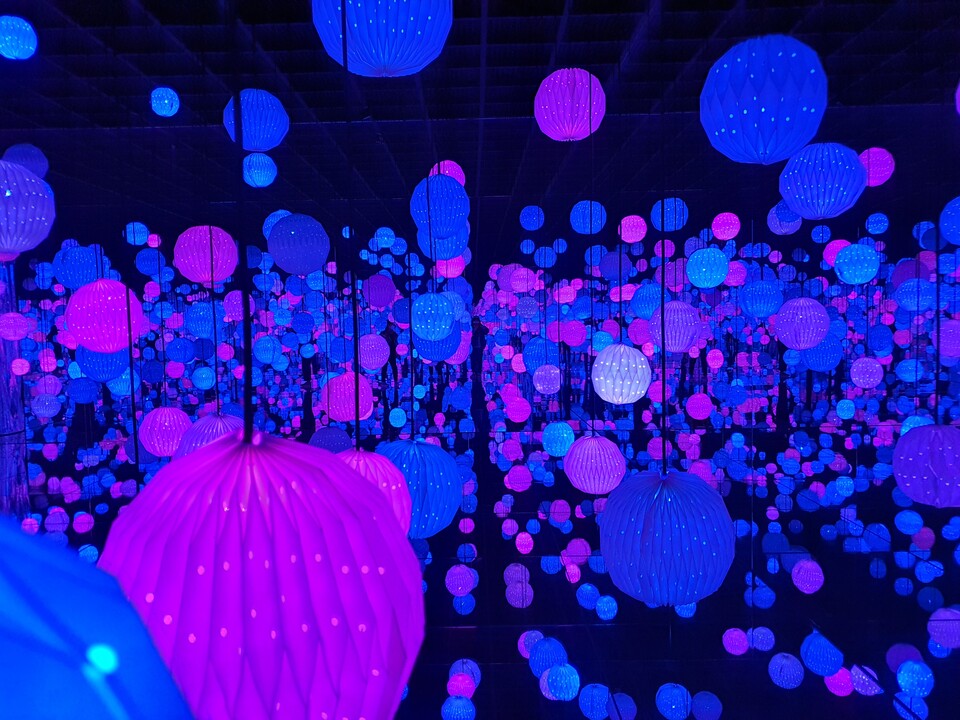 자료제공 = GTT KOREA