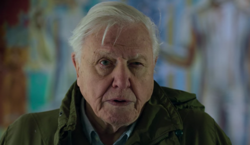 데이비드 애튼버러: 우리의 지구를 위하여, 출처=넷플릭스