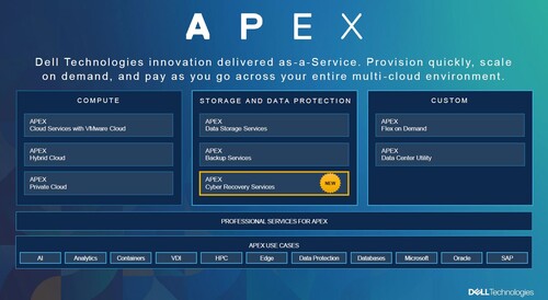 에이펙스 사이버 리커버리 서비스