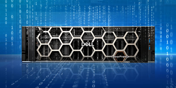 델 테크놀로지스 델 파워프로텍트 DD(Dell PowerProtect DD)