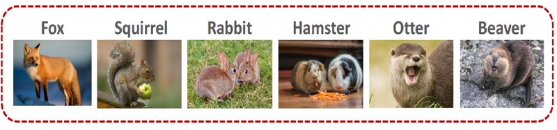 훈련되지 않은 동물에 대한 추가 정보(출처: zzaebok.github.com)