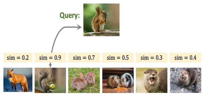 특징 공간(출처: Shusen Wang 유튜브)
