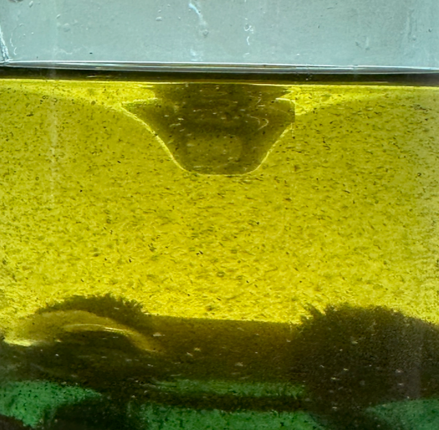 에너지 저장 혁명: 자성유체와 바닷물 파트너십으로 배터리의 멤브레인 의존성을 깨고 효율적이고 지속 가능한 전력 솔루션을 위한 길을 열었다.(자료제공=Salgenx)