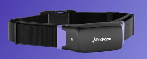 펫페이스가 출시한 반려동물 건강 모니터링 AI 스마트 개 목걸