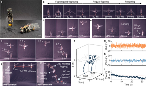 장수풍뎅이 모방 로봇 ‘쿠비틀’의 수직 상승, 정지, 착륙 등의 비행 과정 연구 도식