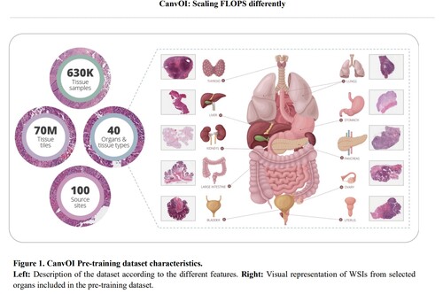 CanvOI의 사전 훈련 데이터 세트의 특징