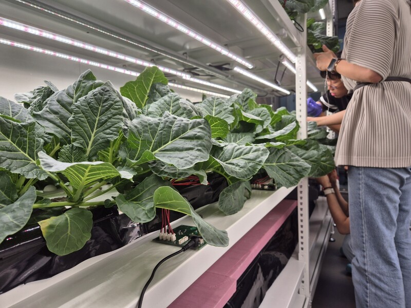 ETRI가 오는 17일 '미래 먹거리 문제 해결을 휘한 식물-전자공학 융합 심포지엄'을 개최한다.