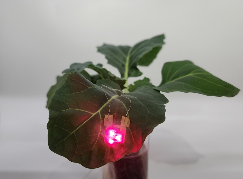 이번 심포지엄에서는 기술의 가능성과 파급력을 극대화하는 방안을 논의할 예정이다.