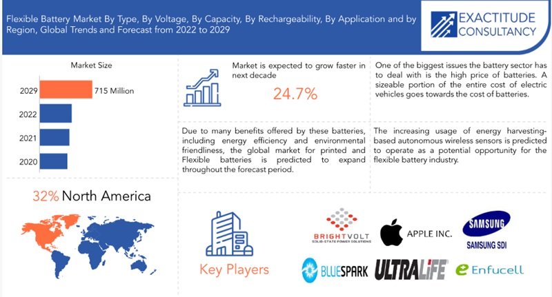 글로벌 플렉서블 배터리 시장 현황(자료제공=이그제큐티드 컨설턴시)