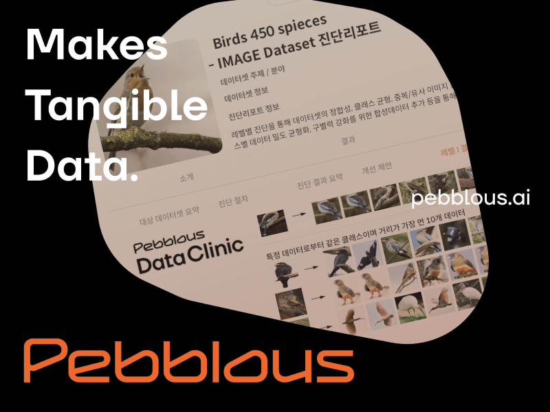 페블러스 데이터 클리닉 서비스