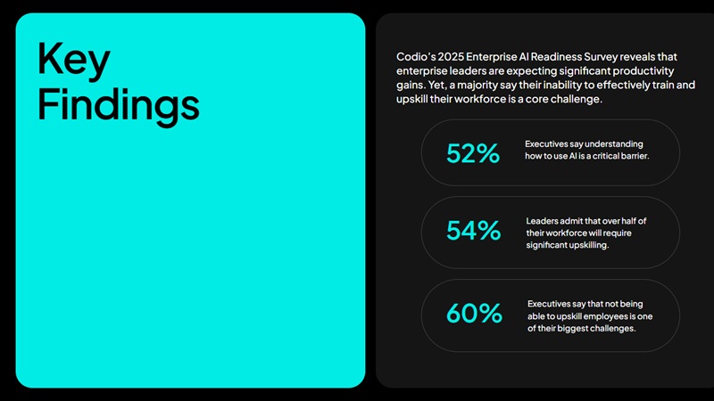 코디오  ‘2025년 기업 AI 도입 설문조사’ 주요 결과(자료제공=코디오)